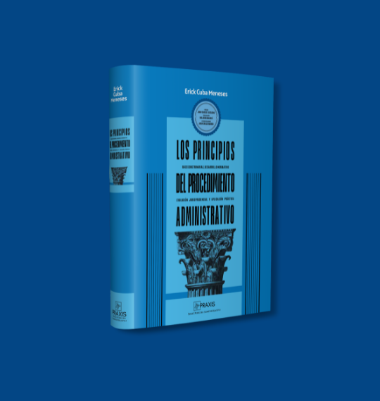 Los principios del procedimiento administrativo