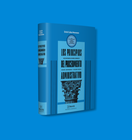 Los principios del procedimiento administrativo